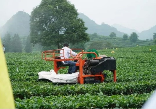 采茶機